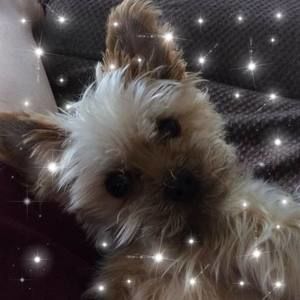 Meet your Posher, Jeannie